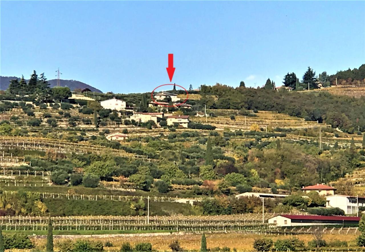 Appartement Valpolicella Hills à Negrar Extérieur photo