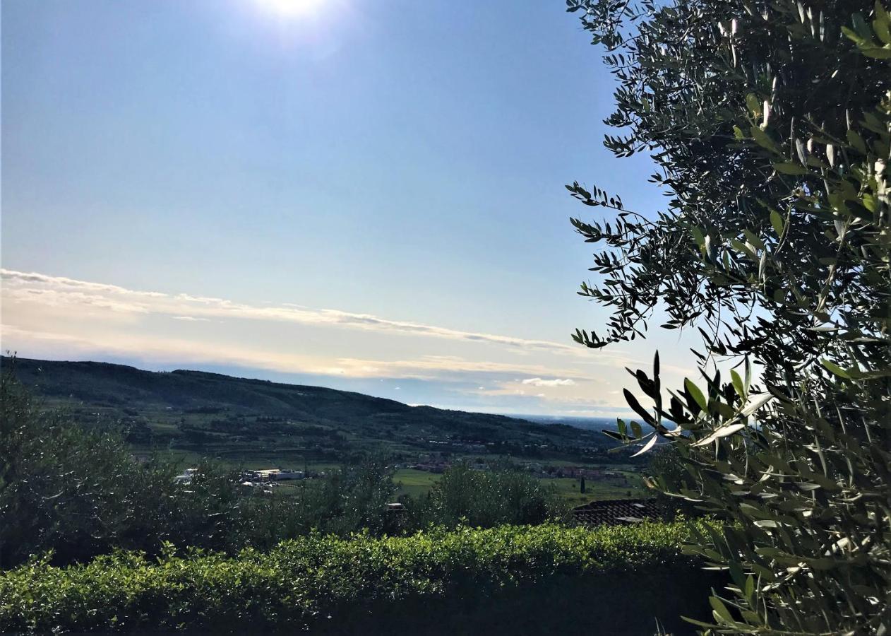 Appartement Valpolicella Hills à Negrar Extérieur photo