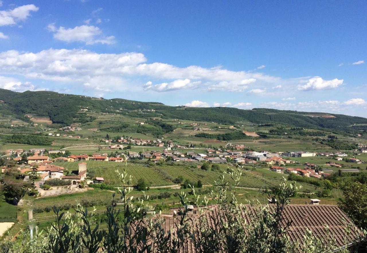 Appartement Valpolicella Hills à Negrar Extérieur photo